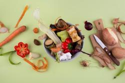 Aproveitamento integral dos alimentos em cozinha sustentável Aproveitamento integral dos alimentos em cozinha sustentável